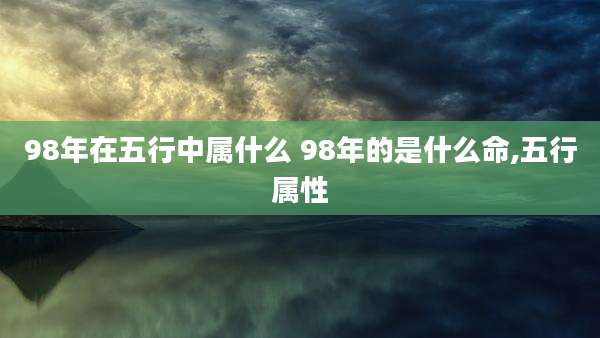 98年在五行中属什么 98年的是什么命,五行属性