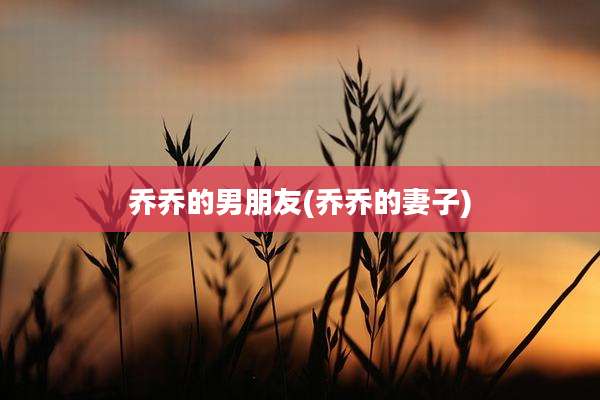乔乔的男朋友(乔乔的妻子)