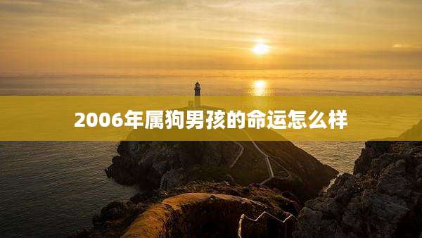 2006年属狗男孩的命运怎么样