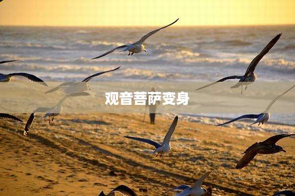 观音菩萨变身