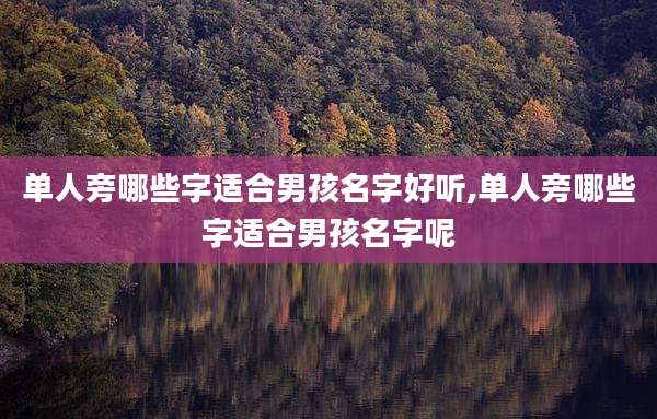 单人旁哪些字适合男孩名字好听,单人旁哪些字适合男孩名字呢