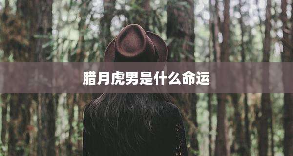 腊月虎男是什么命运