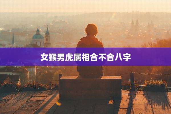 女猴男虎属相合不合八字