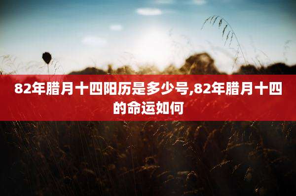 82年腊月十四阳历是多少号,82年腊月十四的命运如何