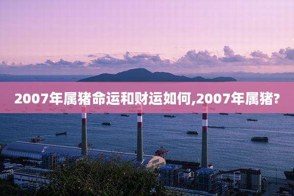 2007年属猪命运和财运如何,2007年属猪?