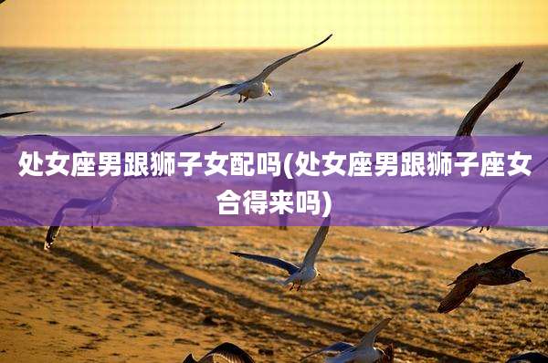 处女座男跟狮子女配吗(处女座男跟狮子座女合得来吗)