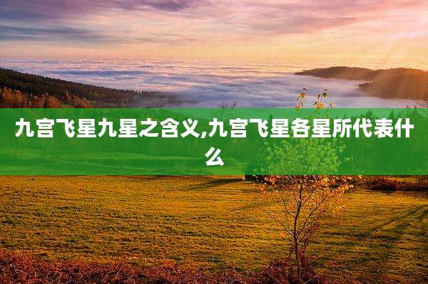 九宫飞星九星之含义,九宫飞星各星所代表什么