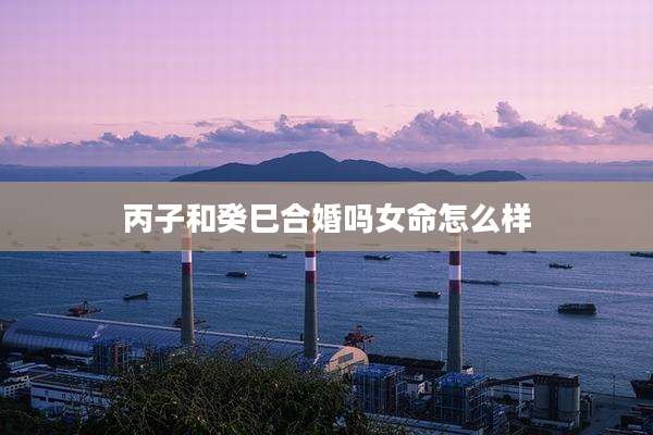 丙子和癸巳合婚吗女命怎么样