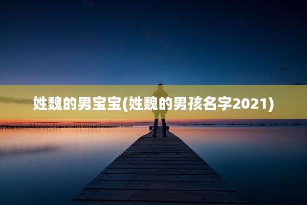 姓魏的男宝宝(姓魏的男孩名字2021)