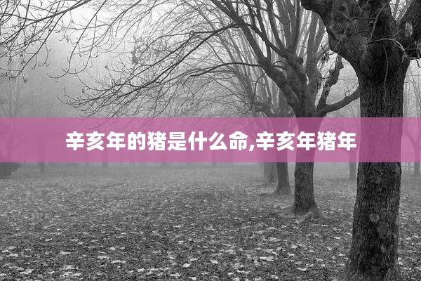 辛亥年的猪是什么命,辛亥年猪年
