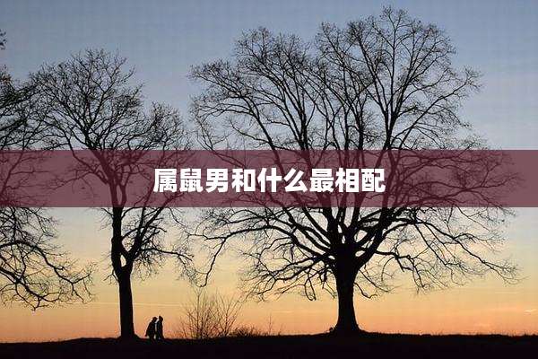 属鼠男和什么最相配