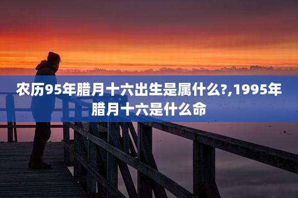 农历95年腊月十六出生是属什么?,1995年腊月十六是什么命