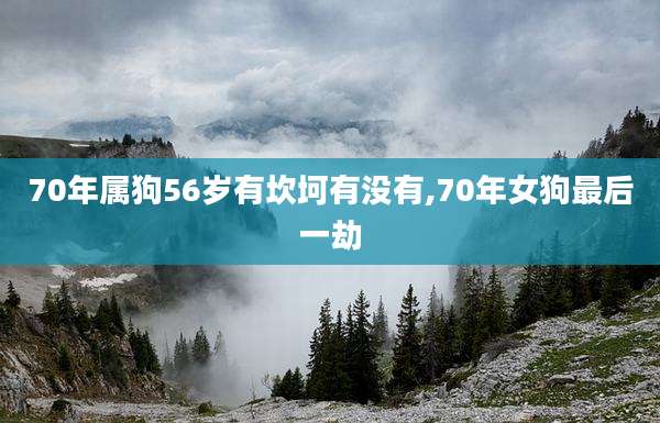 70年属狗56岁有坎坷有没有,70年女狗最后一劫