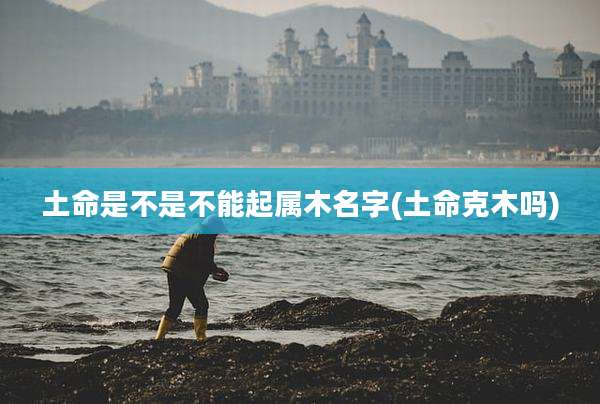土命是不是不能起属木名字(土命克木吗)