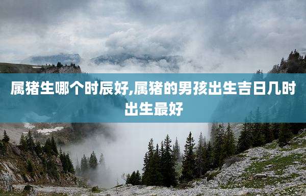 属猪生哪个时辰好,属猪的男孩出生吉日几时出生最好