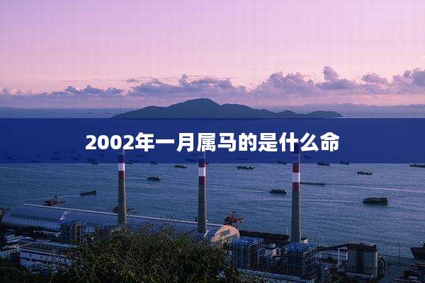 2002年一月属马的是什么命