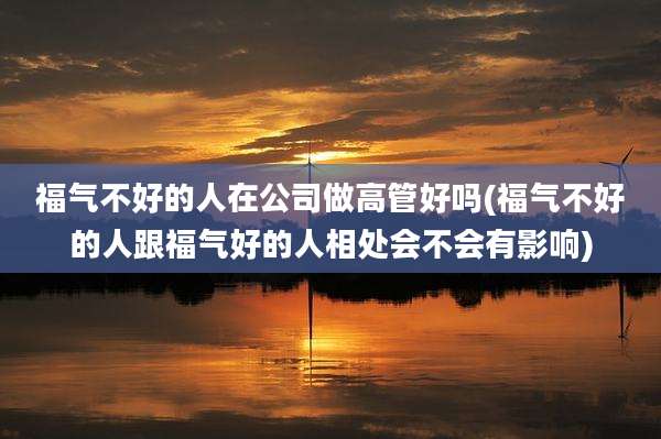 福气不好的人在公司做高管好吗(福气不好的人跟福气好的人相处会不会有影响)