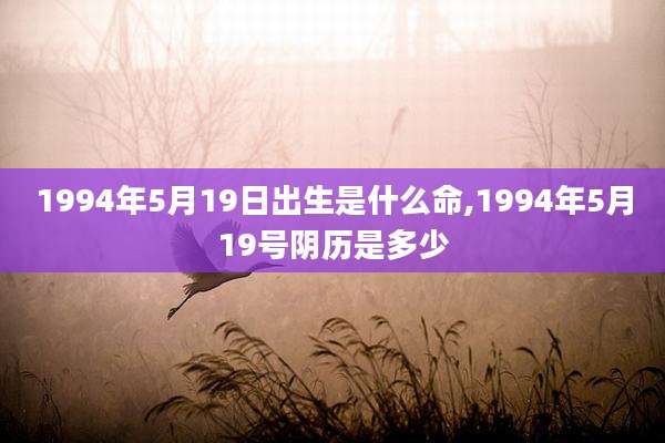 1994年5月19日出生是什么命,1994年5月19号阴历是多少