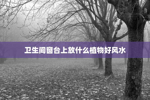 卫生间窗台上放什么植物好风水