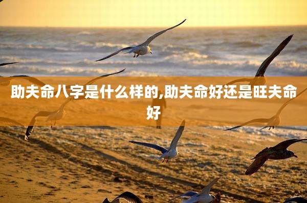 助夫命八字是什么样的,助夫命好还是旺夫命好