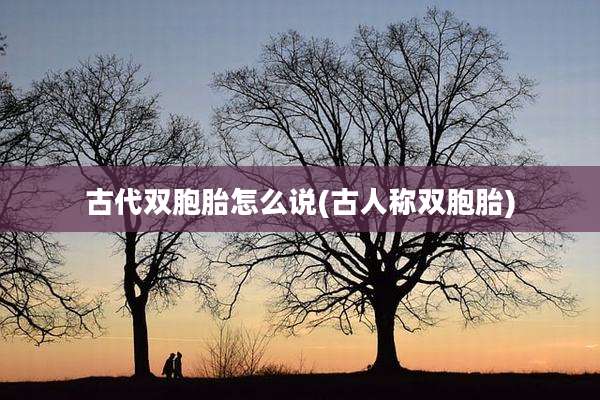 古代双胞胎怎么说(古人称双胞胎)