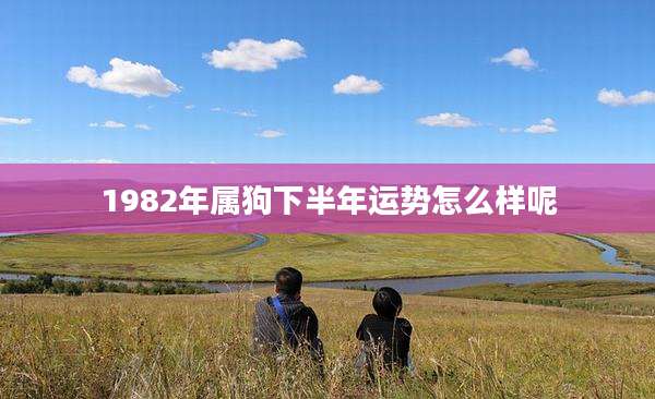 1982年属狗下半年运势怎么样呢