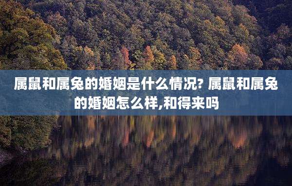 属鼠和属兔的婚姻是什么情况? 属鼠和属兔的婚姻怎么样,和得来吗