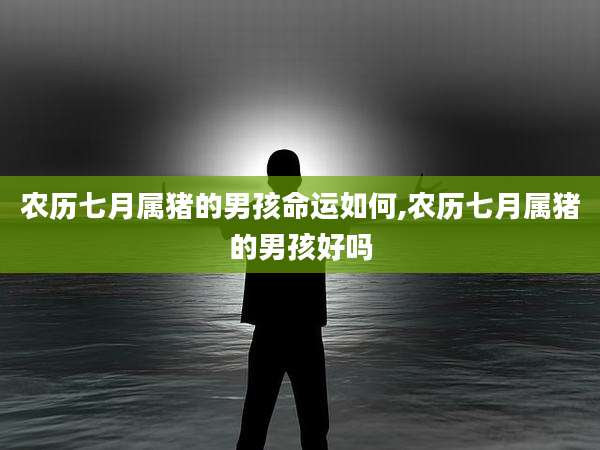 农历七月属猪的男孩命运如何,农历七月属猪的男孩好吗