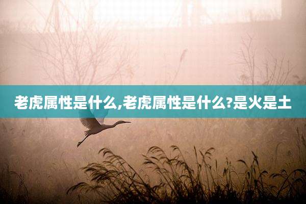 老虎属性是什么,老虎属性是什么?是火是土
