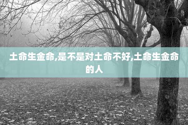 土命生金命,是不是对土命不好,土命生金命的人
