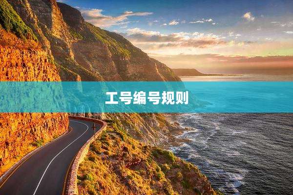 工号编号规则