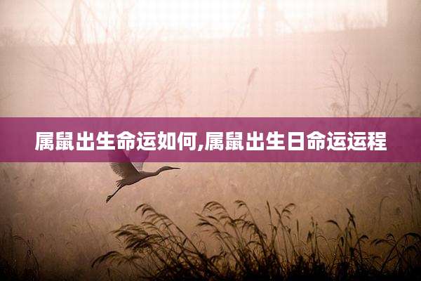 属鼠出生命运如何,属鼠出生日命运运程