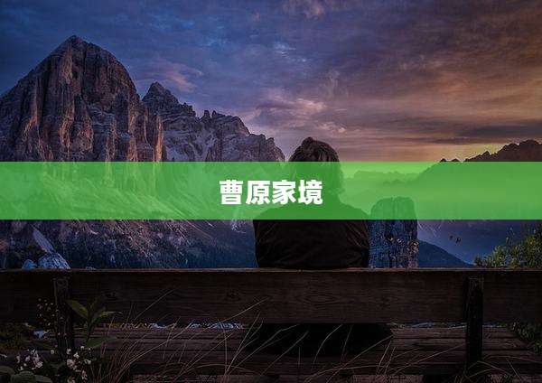 曹原家境