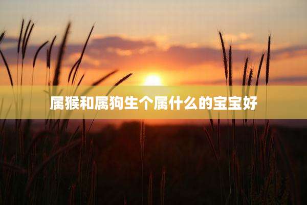 属猴和属狗生个属什么的宝宝好