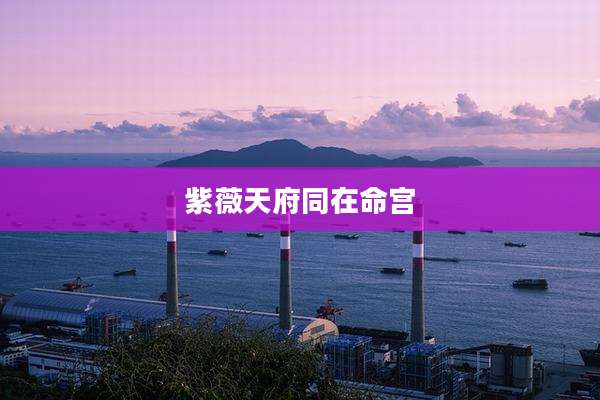 紫薇天府同在命宫