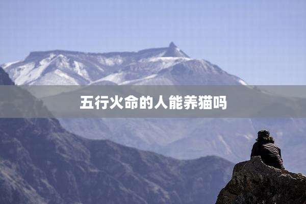 五行火命的人能养猫吗