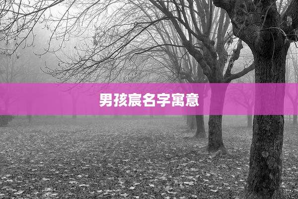 男孩宸名字寓意