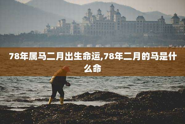 78年属马二月出生命运,78年二月的马是什么命
