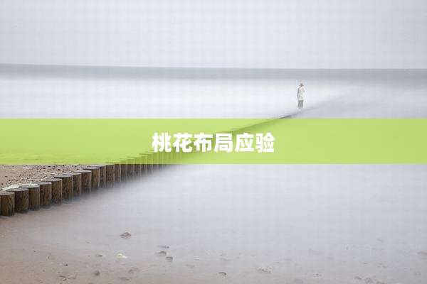 桃花布局应验