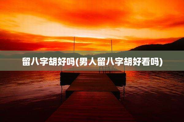 留八字胡好吗(男人留八字胡好看吗)