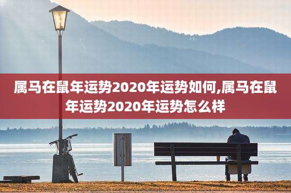 属马在鼠年运势2020年运势如何,属马在鼠年运势2020年运势怎么样