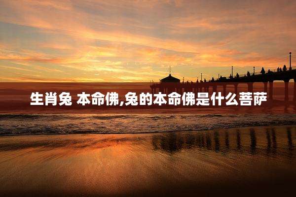 生肖兔 本命佛,兔的本命佛是什么菩萨