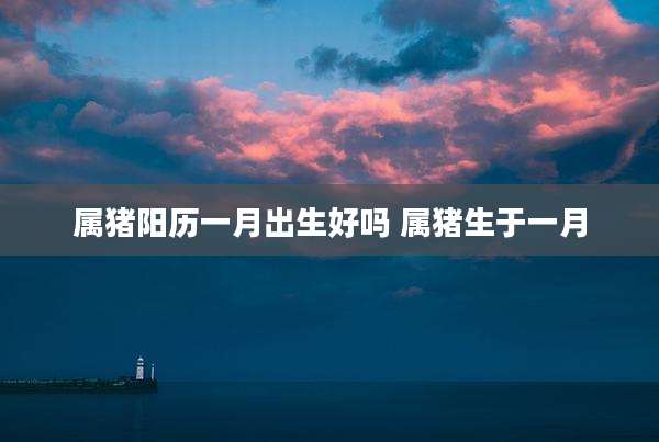 属猪阳历一月出生好吗 属猪生于一月