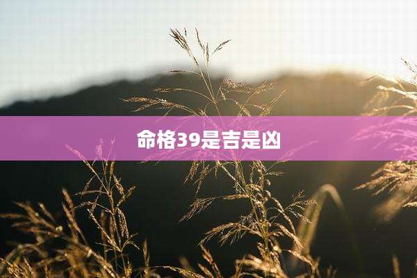 命格39是吉是凶