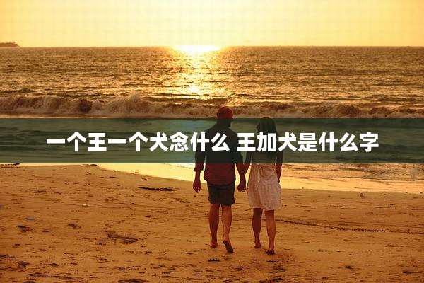 一个王一个犬念什么 王加犬是什么字