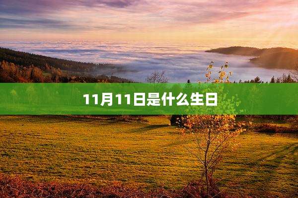 11月11日是什么生日
