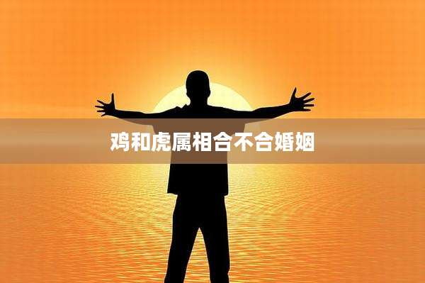 鸡和虎属相合不合婚姻