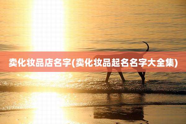 卖化妆品店名字(卖化妆品起名名字大全集)