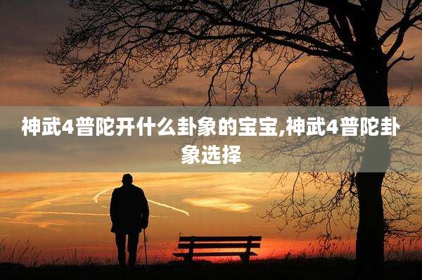 神武4普陀开什么卦象的宝宝,神武4普陀卦象选择