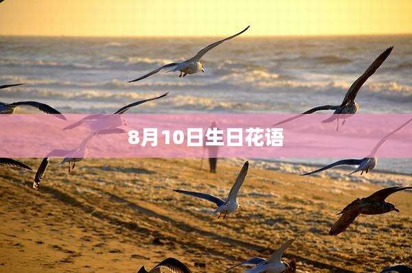 8月10日生日花语